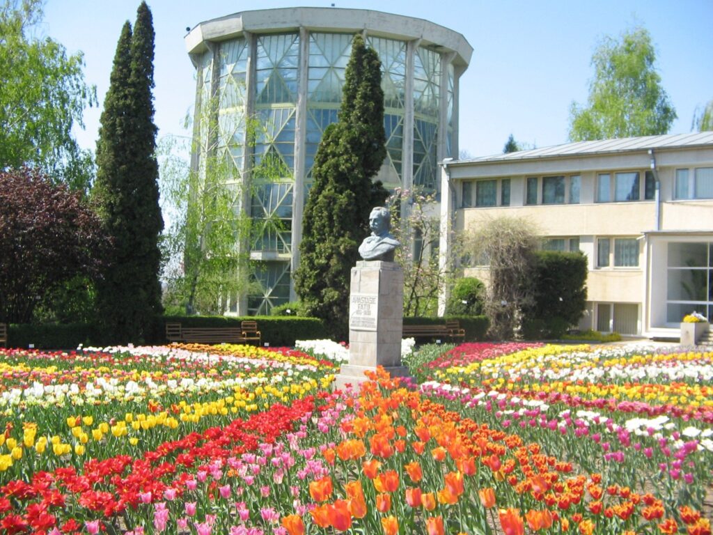 imobiliare Iași gradina botanica